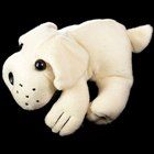 Webcam Cachorrinho Bebê